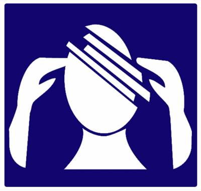 Les Situations De Handicap Psychique Mental Ou Cognitif